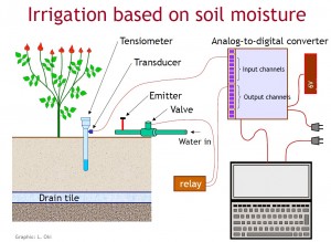 IrrigationSoilMoisture